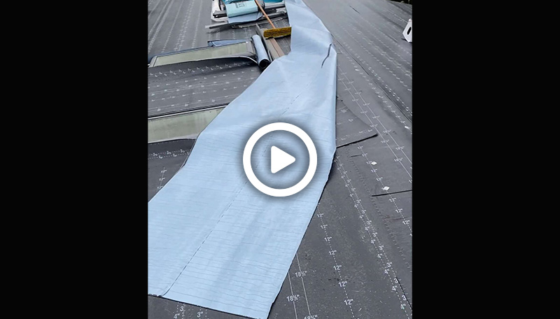 video5