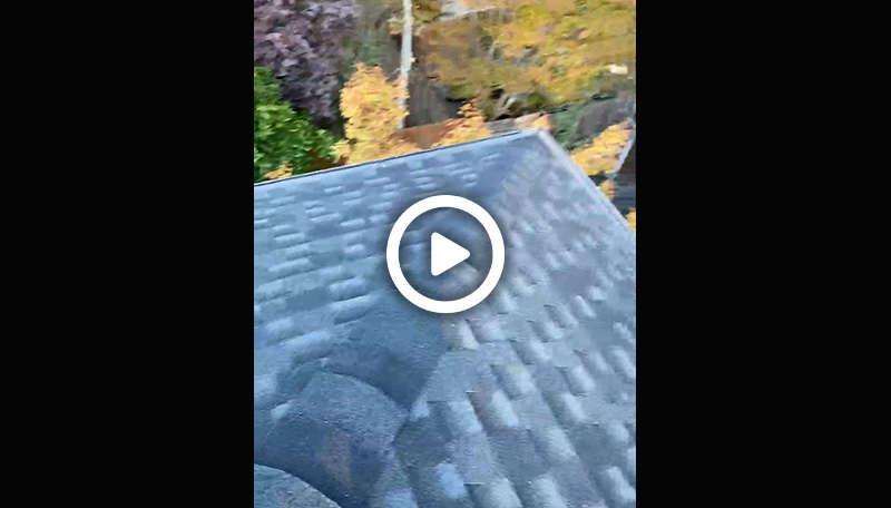 video6